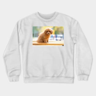 Poodle Puppy Digital Painting Crewneck Sweatshirt